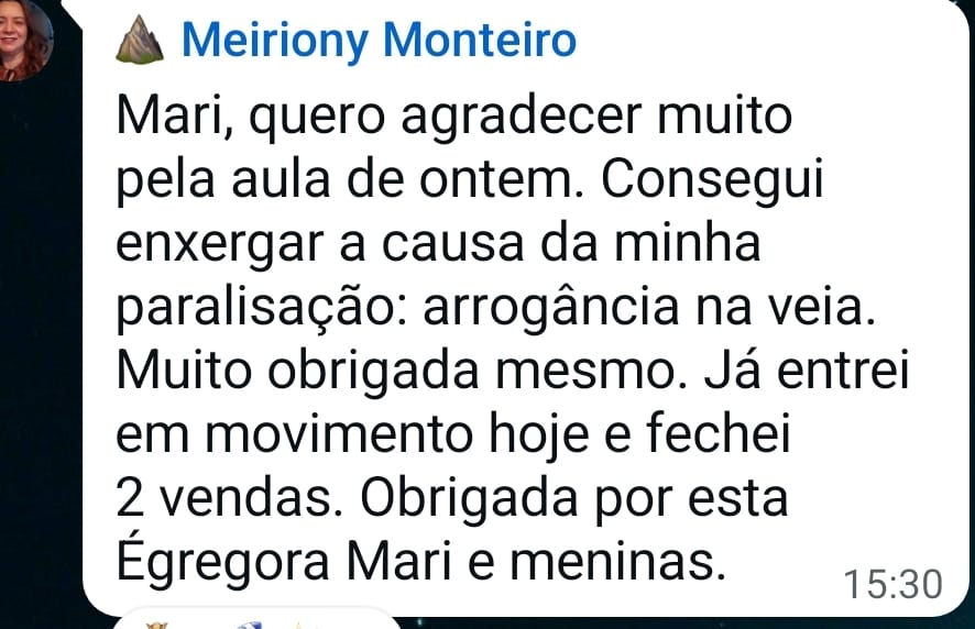 Print de WhatsApp: Meiriony agradece a aula, enxerga a causa da paralisação e conta que fechou 2 vendas